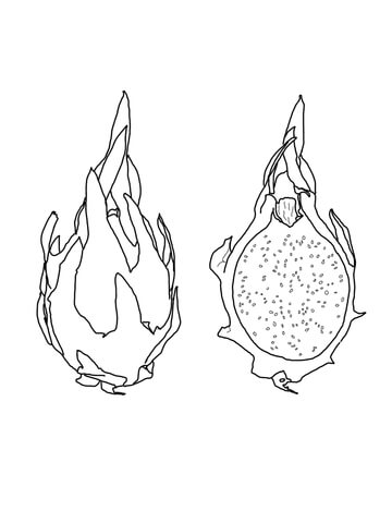 Dragon Fruit Coloring Page